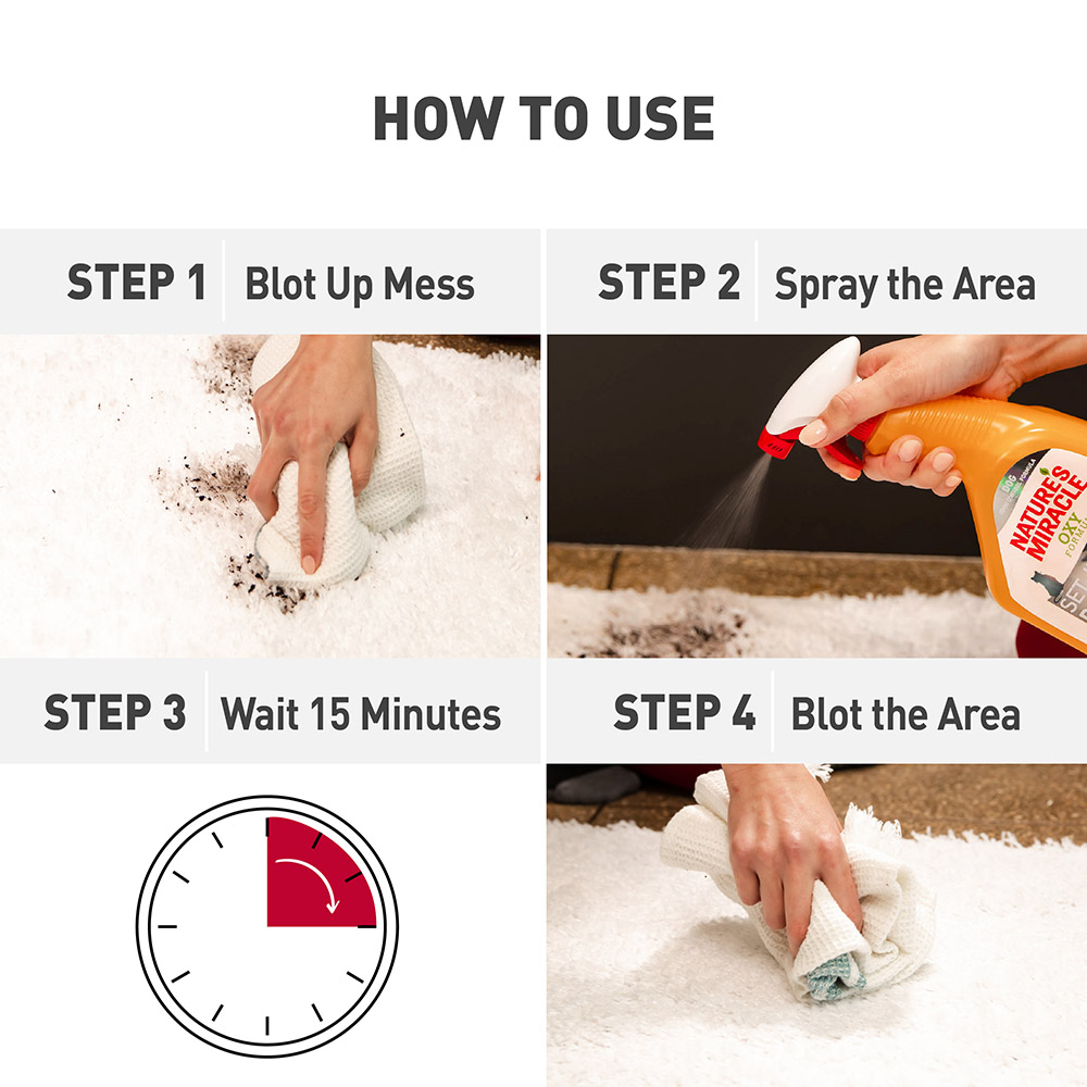 Nature's miracle set in stain destroyer cat outlet